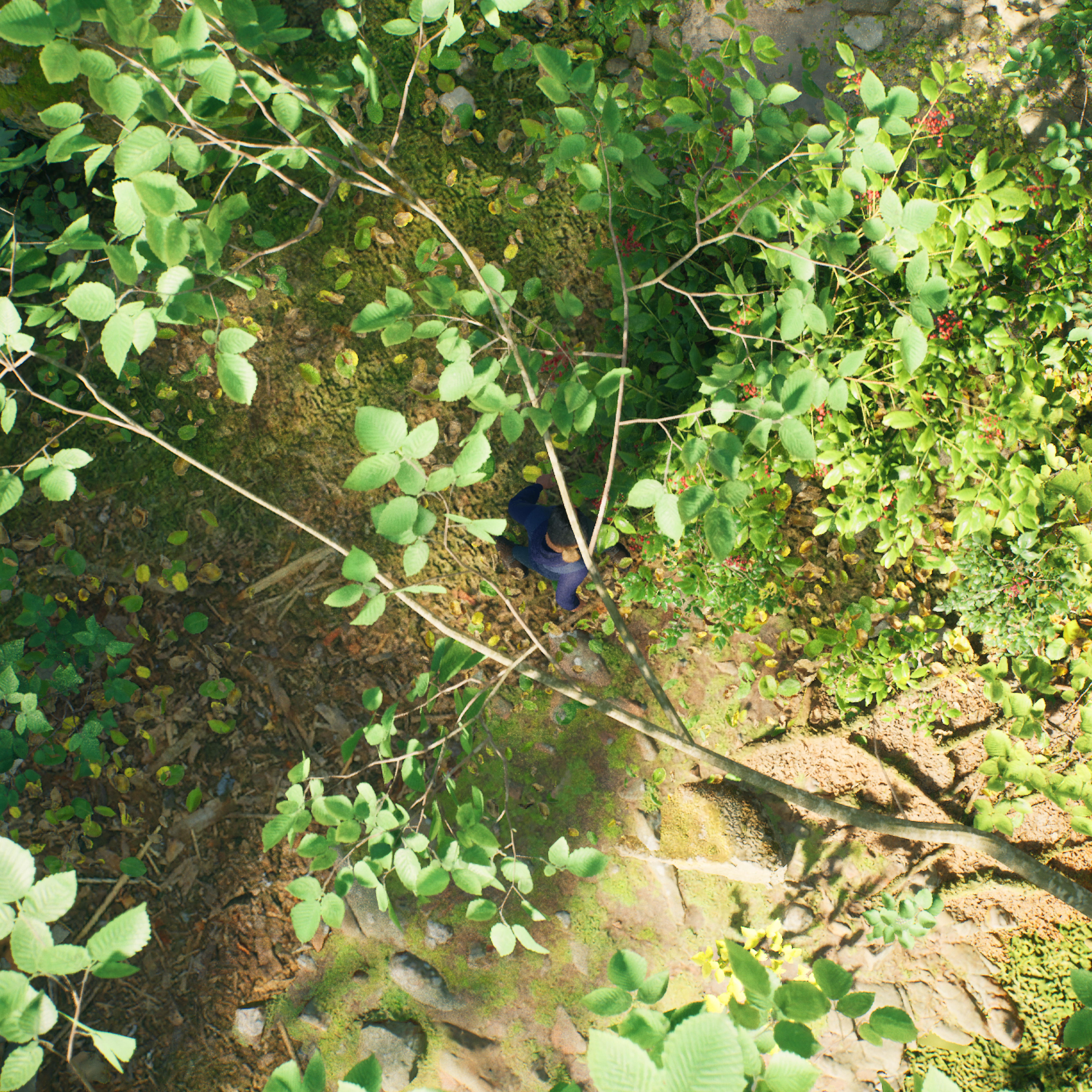 The Passage — Museum of Memories